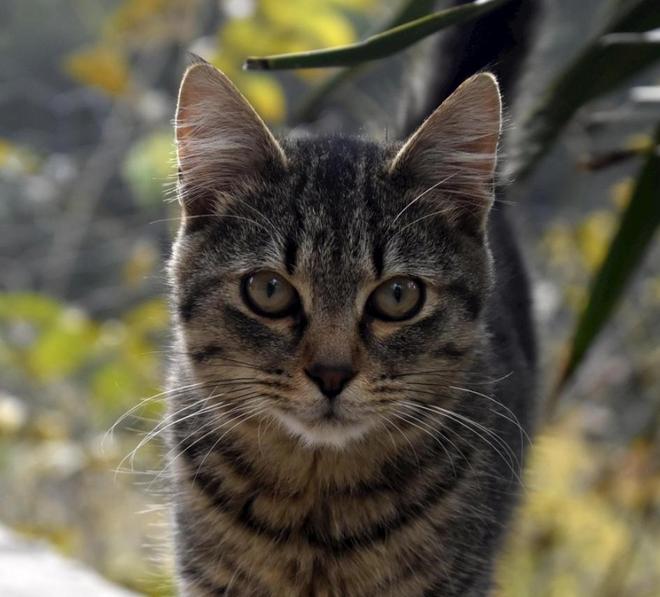 人愿意花钱了?5条赛道正闷声发大财!AG真人百家乐中国进入低欲望时代没(图12) 人愿意花钱了?5条赛道正闷声发大财!AG真人百家乐中国进入低欲望时代没(图12)