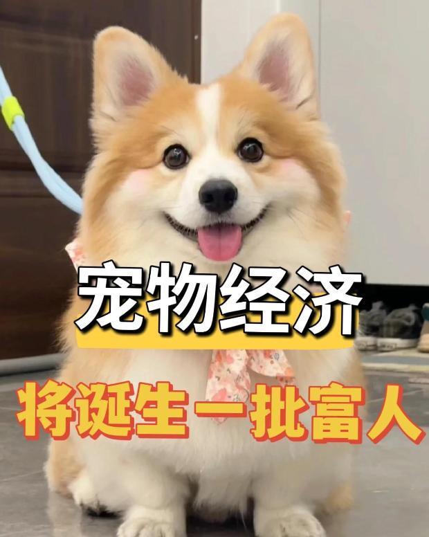 人愿意花钱了?5条赛道正闷声发大财!AG真人百家乐中国进入低欲望时代没(图14) 人愿意花钱了?5条赛道正闷声发大财!AG真人百家乐中国进入低欲望时代没(图14)