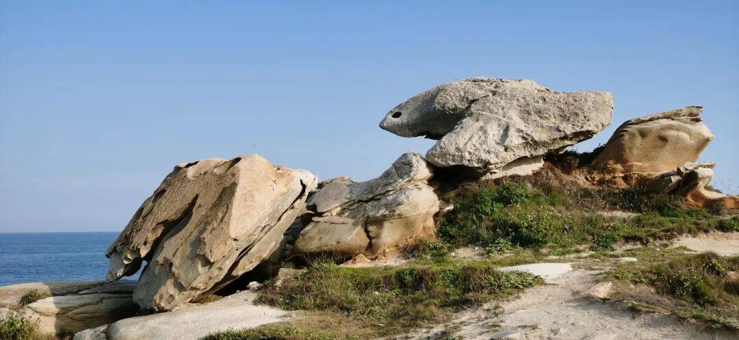 AG真人国际官方网站冷门民俗变身文旅顶流：蟳埔“簪花筵”：一朵花撬动八大产业。(图5)